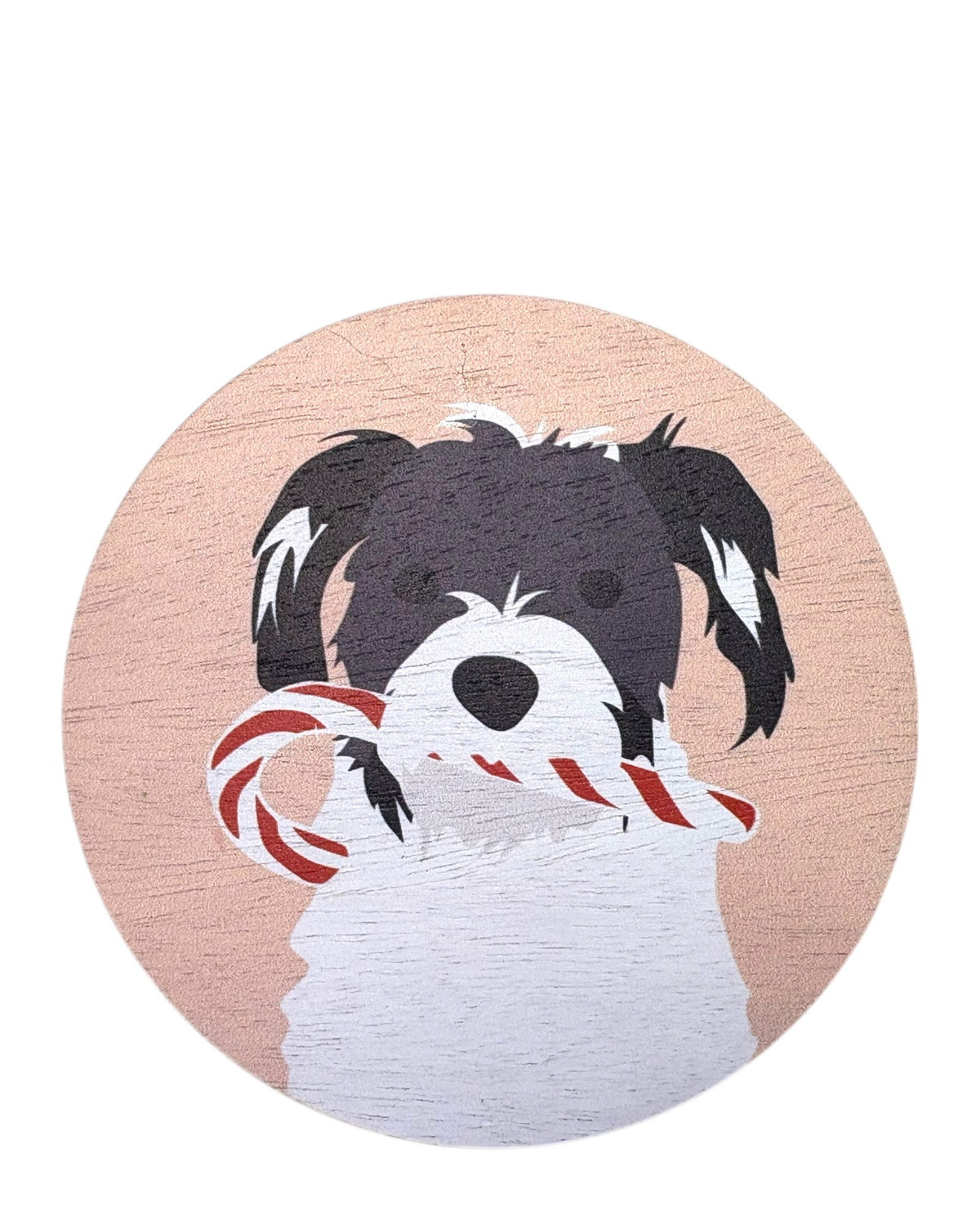 SAND + PAWS Cinnamon Noel Jar Candle 12oz