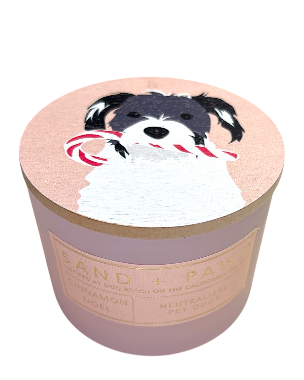 SAND + PAWS Cinnamon Noel Jar Candle 12oz